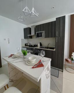Spacious Cozy Studio at Embassy Garden - Accra - 9