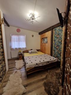 Cabana Micutu - Sebeş - 4