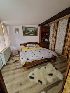 Cabana Micutu - Sebeş - 1