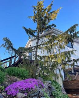 Lakeside Lodge by the Bay of Fundy - 9