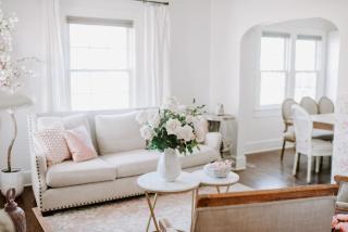 The Pink House in Downtown Clarksville - 6