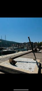 Novia Apartment 22 - Đenovići - 8