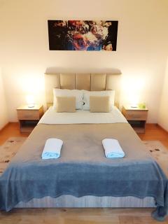 Apartament Andreas - Arad - 0