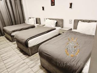 New Park Plaza Cairo - Cairo - 4