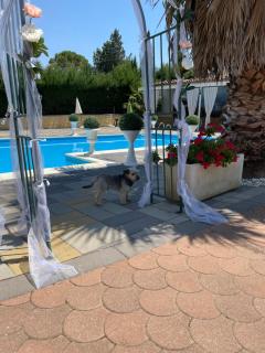 Villa belvedere B&B casa vacanze Enna pergusa - Enna - 7