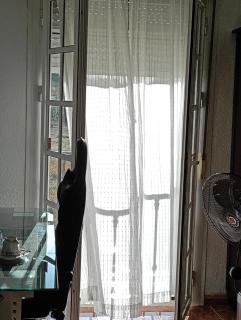 La casa de Marifé, a 15" de Sevilla y a 30" del aeropuerto - 7