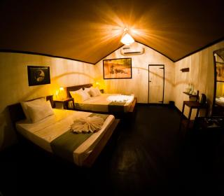 Safaria Lodge Wilpattu - 1