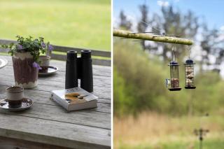 HA347-Saeby-Bjornborgvej-5 - 6