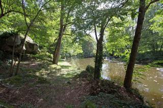 Le Moulin du Cluzeau - Thollet - 5