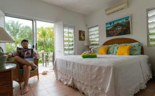 Villa Camilla Eco-Resort Main House on Grace Bay Beach - 1