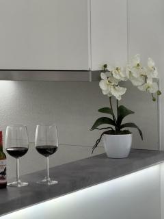 Apartman Mojsilović - Ub - 7