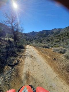 Secluded Oasis with Hot tub n firplace on 40 acres - 9