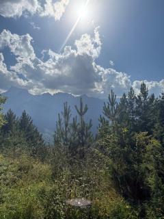 Shoda Valley შოდა ველი - 5