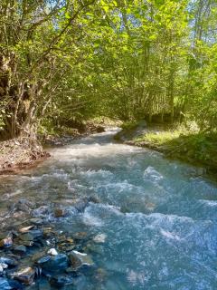 Shoda Valley შოდა ველი - 6
