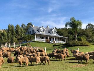 Rancho SF Casa Texana - 5