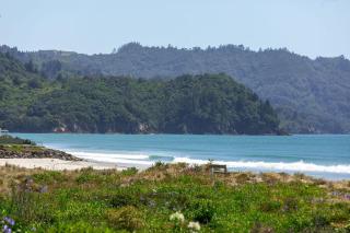 Shipshape Beach front Retreat - 5