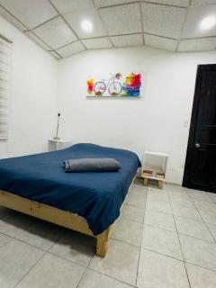 Private apartment in Roma Condesa - 3