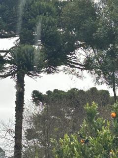 Cantinho da Serra - 7