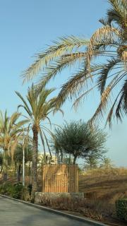 Sifah resort studio - Maskat - 5
