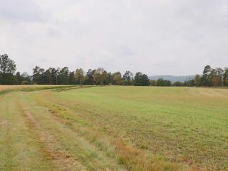 4 person holiday home in TORUP - 1