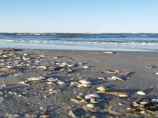 Seaside Serenity in Lyngsa-By Traum - 2