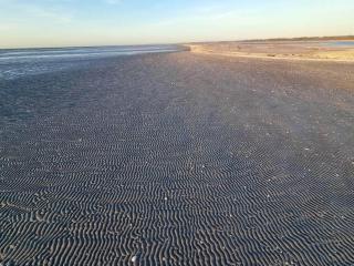 Seaside Serenity in Lyngsa-By Traum - 4