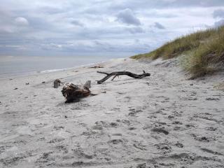 Seaside Serenity in Lyngsa-By Traum - 3