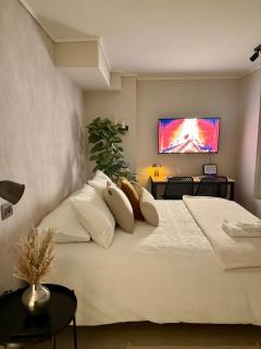 Hermoso Apartamento a pasos de Santa Lucía - 8