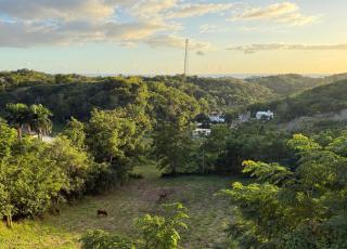 Casa Ramé PR– Amanera - Rincón - 9