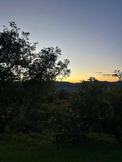 Cabaña Efímera en medio del bosque en La Ceja - 6