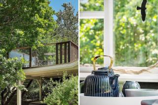 1610-Akirkeby-Maegardsskoven-7 - Vester Sømarken - 9