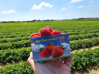 5 person holiday home in LÖDDEKÖPINGE - Löddeköpinge - 2