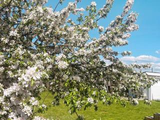 Spacious holiday home in Gothenburg - 6