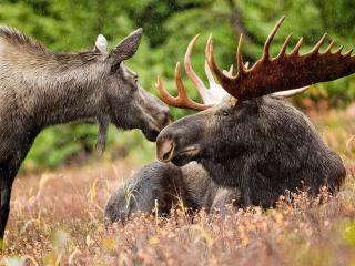 4 person holiday home in KARLSBORG - 1