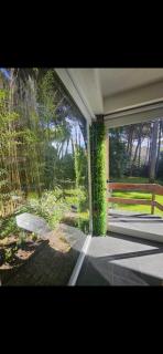 Casa Alta Con Piscina en el Bosque de Carilo - Carilo - 1