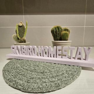 Skybird Homestay Desaru - Gated Guarded Community - 2