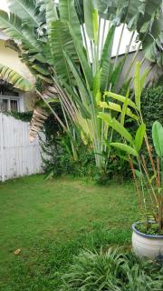 Mekong Palm House - Can Tho - 9
