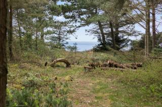 LF364-Hurup-Thy-Solsortevej-64 - 9