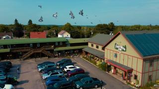 Adventure Inn - 0