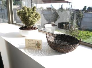 Umawtu Bed and Wine - 1