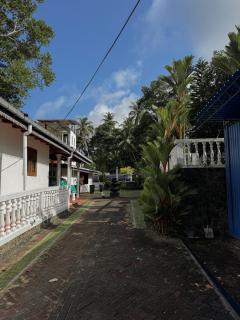 Jungle Yoga House - 7