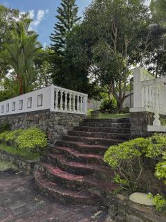 Jungle Yoga House - 1
