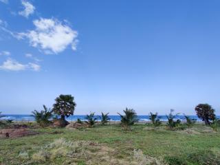Palu - at The Lighthouse - 1