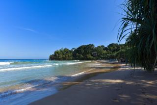 Sharasvee Nature Villa - Talalla South - 2