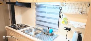 Holender na Kujawach - 1