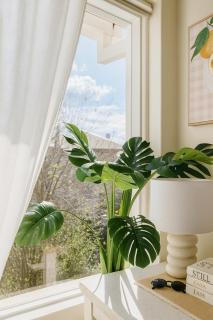 Stylish Studio at heart of St Kilda - 3