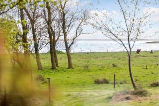 LF13172-Nykobing-M-Strandvaenget-76 - 0