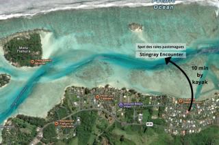 Fare Vaihere Moorea - 1