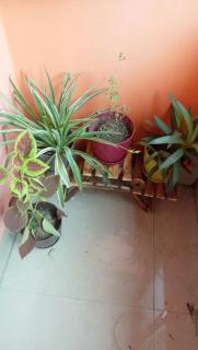 Amaravati homestay - 3