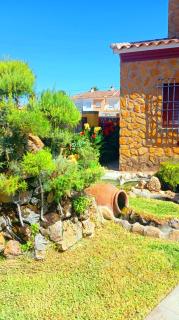 sol de membrillo - 9
